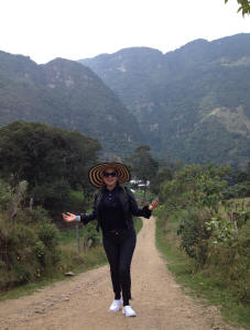 Waterfall park in the Andes